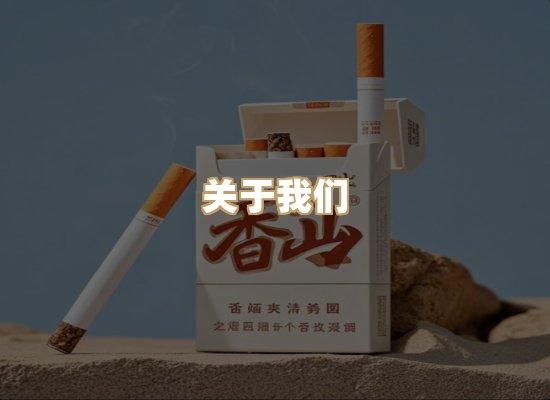 关于金鹤网